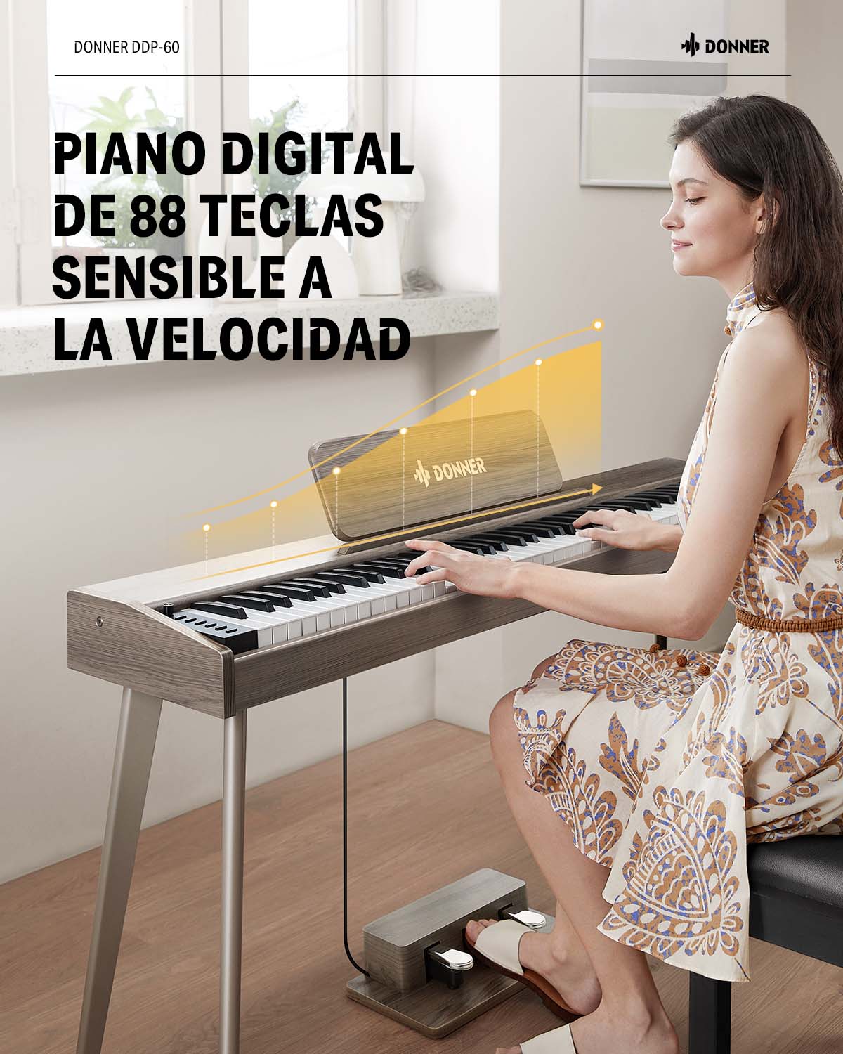 Imagen del producto 24